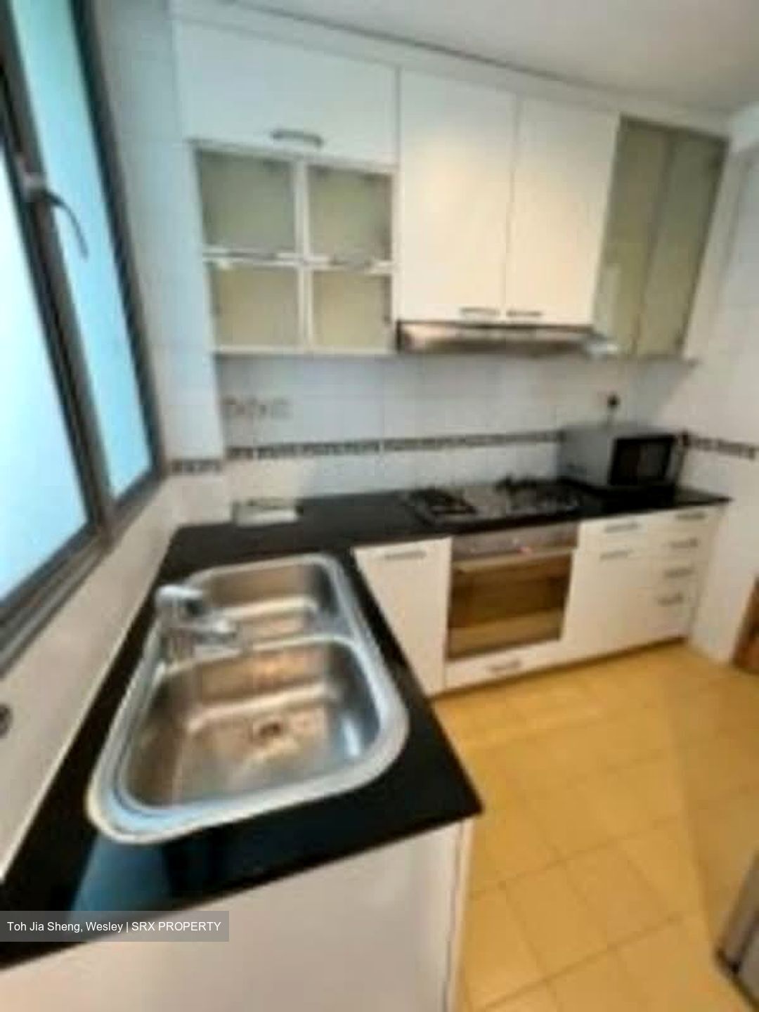 Thomson Euro-asia (D11), Condominium #562174691